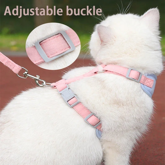 The English Garden | Soft-Fit Harness, Lead & Pouch