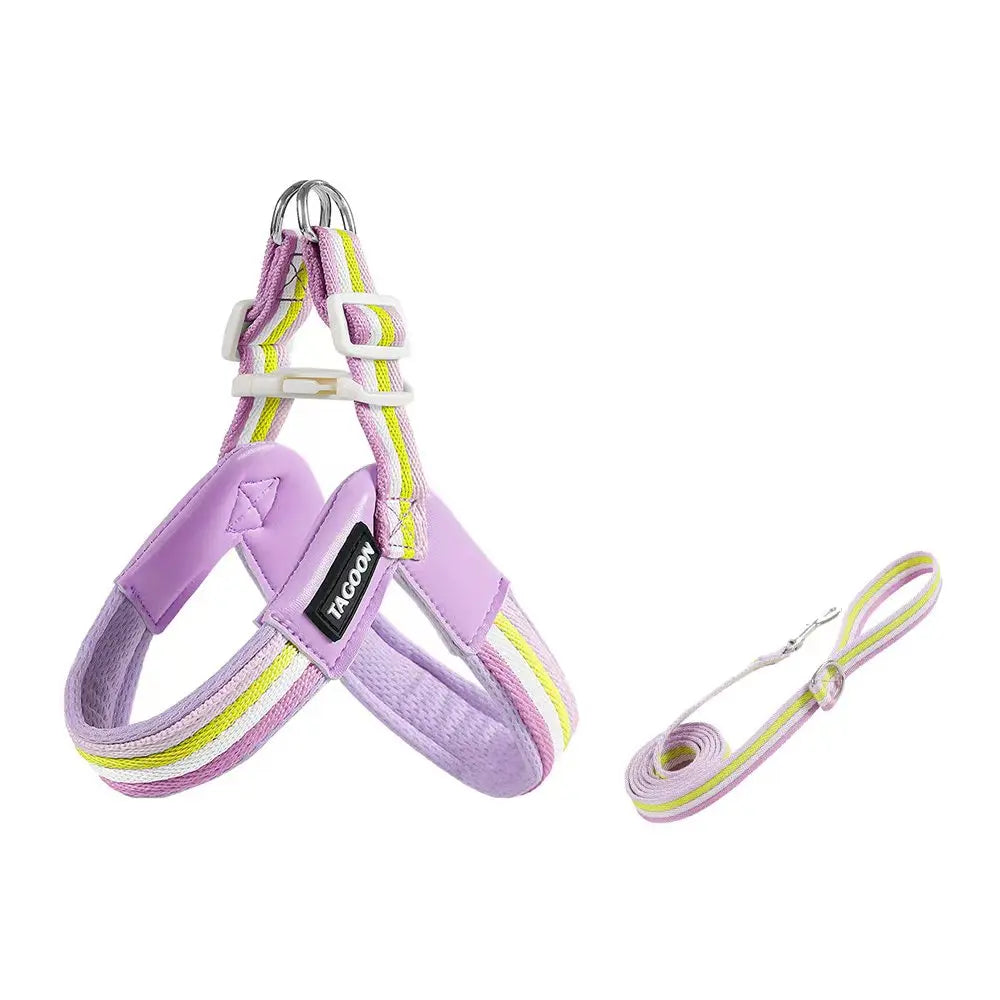 The Explorer | Y-Shape Harness & Detachable Trail Pack