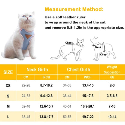 The English Garden | Soft-Fit Harness, Lead & Pouch