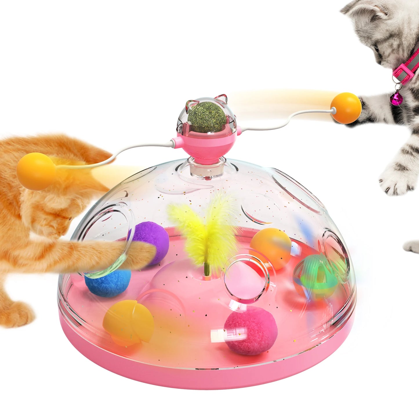 The Enigma Chest | Multi-Level Sensory Enrichment Toy