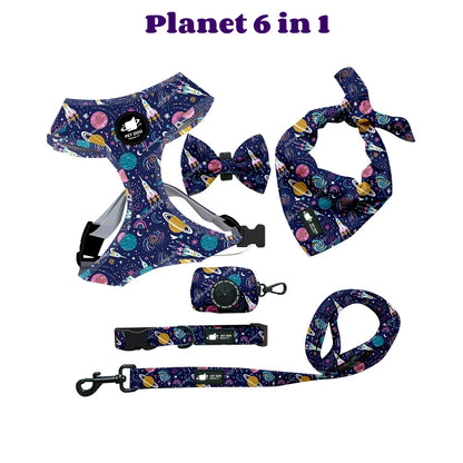 The Street-Chic Collection | All-In-One 6-Piece Walking Pack