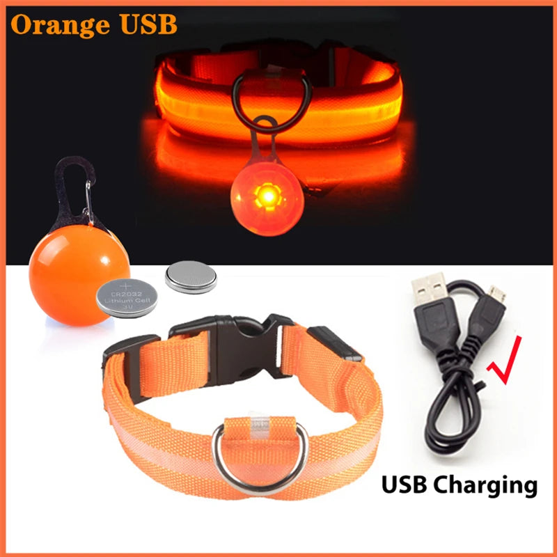 The Glow-Guard | Luxury LED USB Safety Collar
