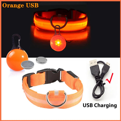 The Glow-Guard | Luxury LED USB Safety Collar