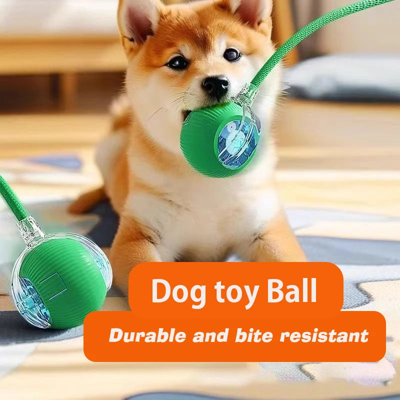 The Smart-Roll | Automatic Intelligent Play Ball