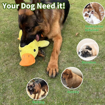 The Quack-Back | Durable Plush Duck Companion