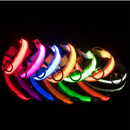 The Glow-Guard | Luxury LED USB Safety Collar