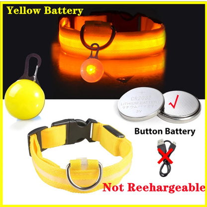 The Glow-Guard | Luxury LED USB Safety Collar