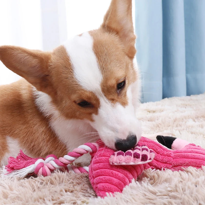 The Corduroy Critter | Durable Textured Squeaky Toy
