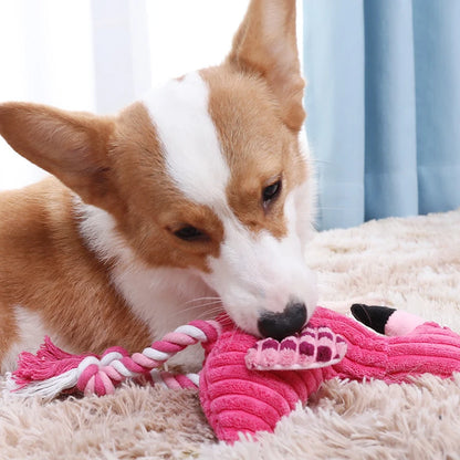 The Corduroy Critter | Durable Textured Squeaky Toy