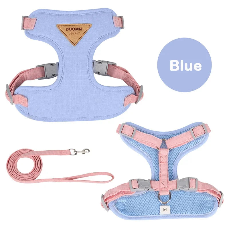 The English Garden | Soft-Fit Harness, Lead & Pouch