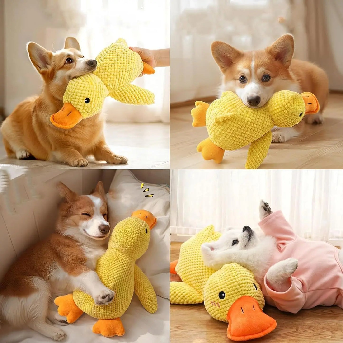 The Quack-Back | Durable Plush Duck Companion