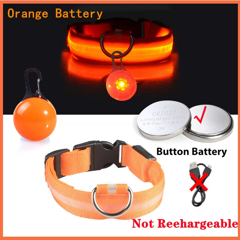 The Glow-Guard | Luxury LED USB Safety Collar