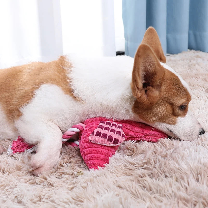 The Corduroy Critter | Durable Textured Squeaky Toy