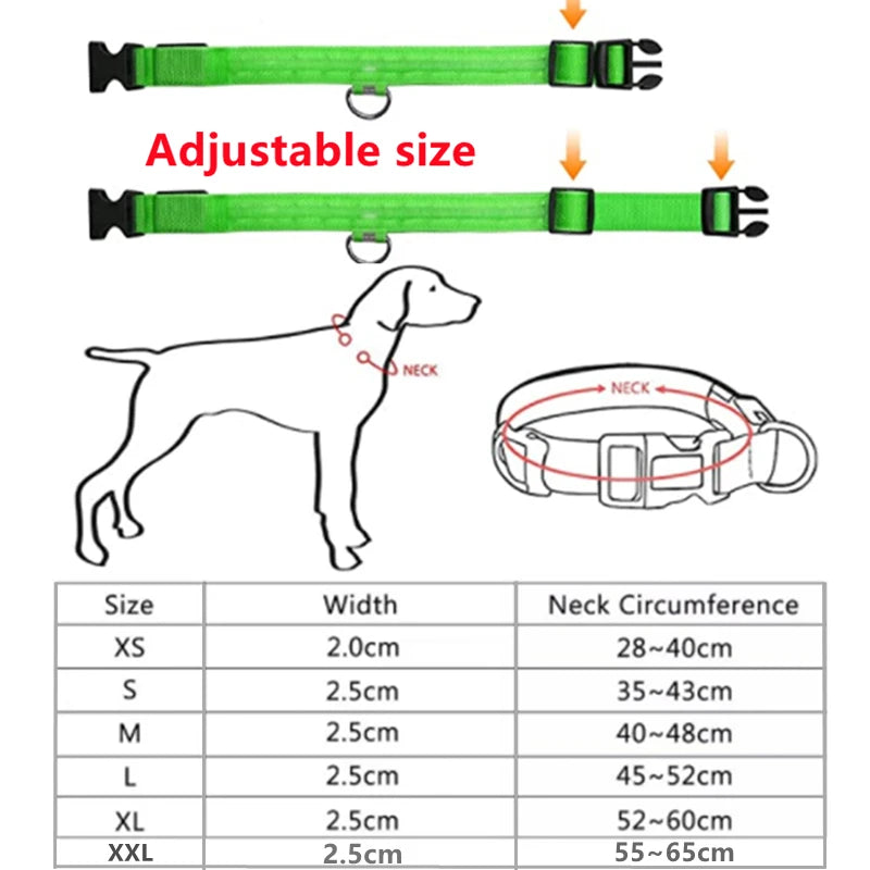 The Glow-Guard | Luxury LED USB Safety Collar