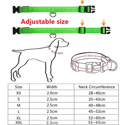 The Glow-Guard | Luxury LED USB Safety Collar
