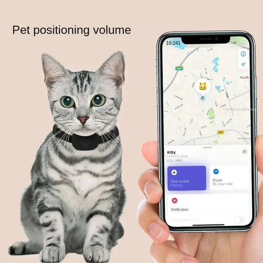 The Sentinel | Global Real-Time GPS Tracker