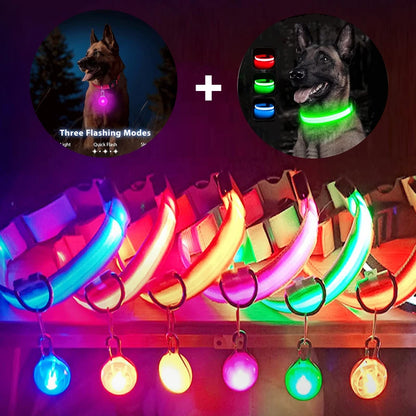 The Glow-Guard | Luxury LED USB Safety Collar