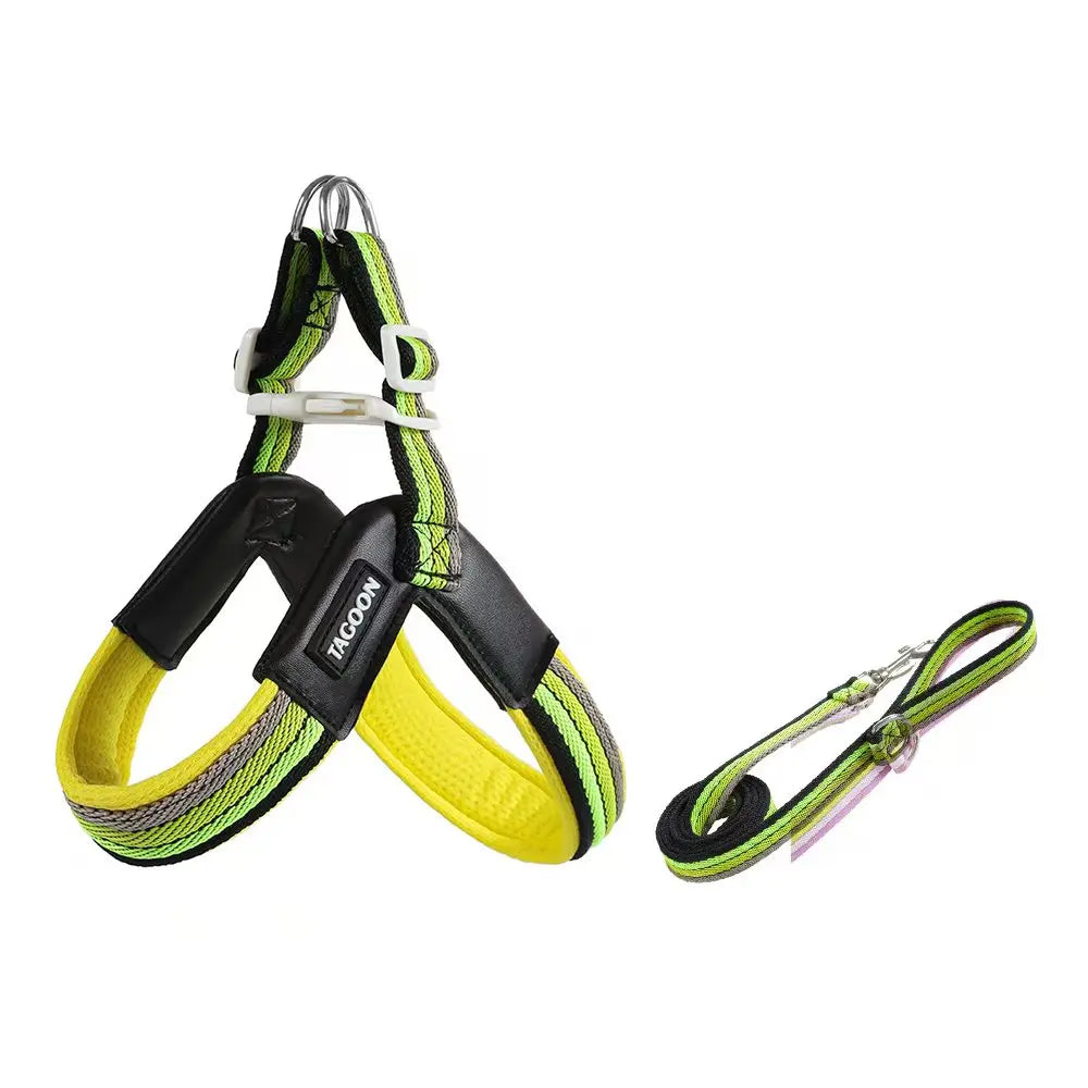 The Explorer | Y-Shape Harness & Detachable Trail Pack