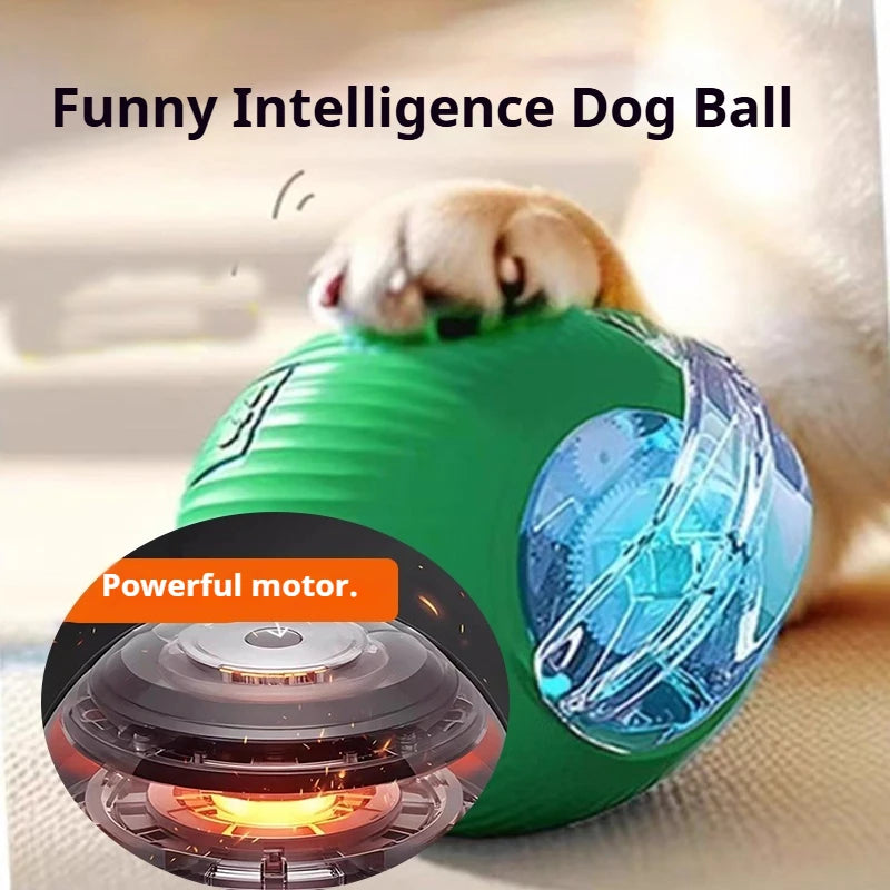 The Smart-Roll | Automatic Intelligent Play Ball