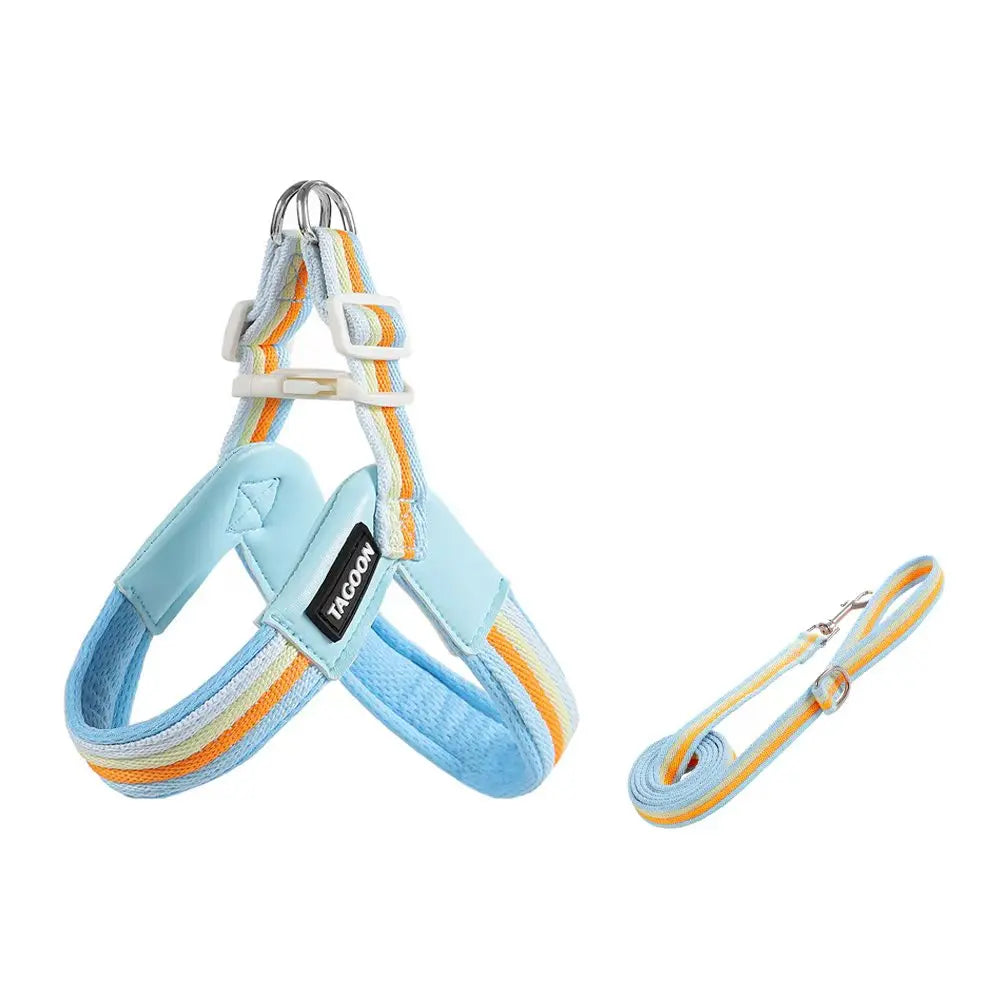 The Explorer | Y-Shape Harness & Detachable Trail Pack