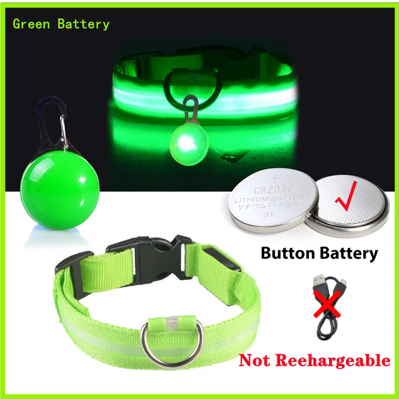 The Glow-Guard | Luxury LED USB Safety Collar