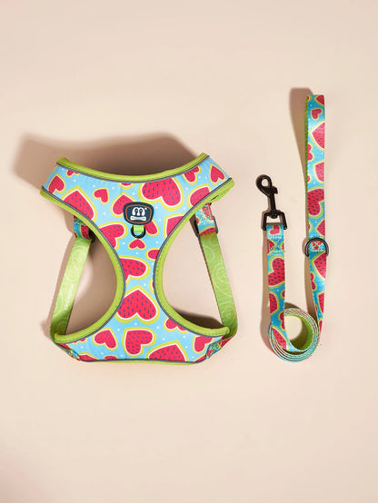The Picnic Collection | Watermelon Harness, Lead & Pouch Set