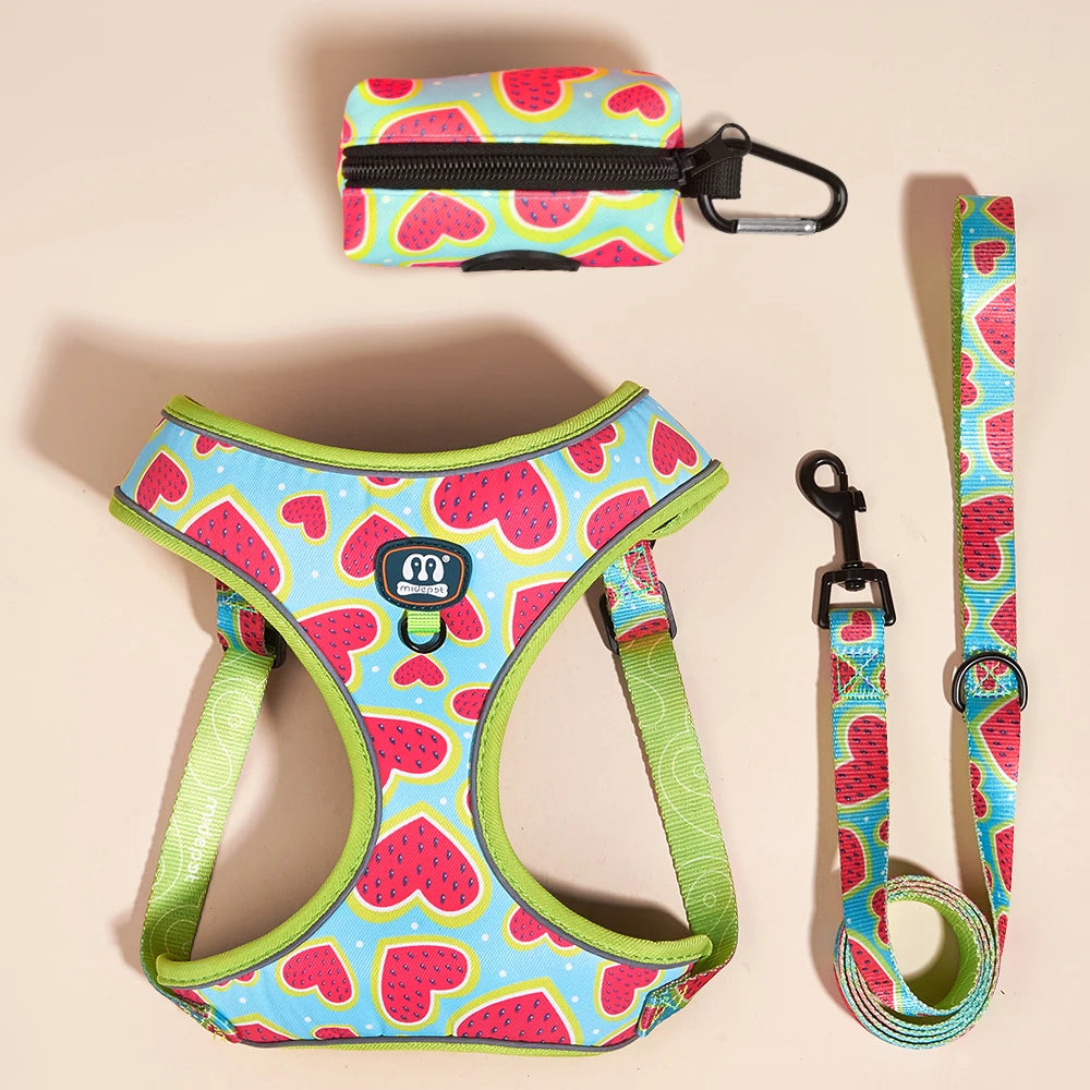 The Picnic Collection | Watermelon Harness, Lead & Pouch Set