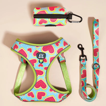 The Picnic Collection | Watermelon Harness, Lead & Pouch Set