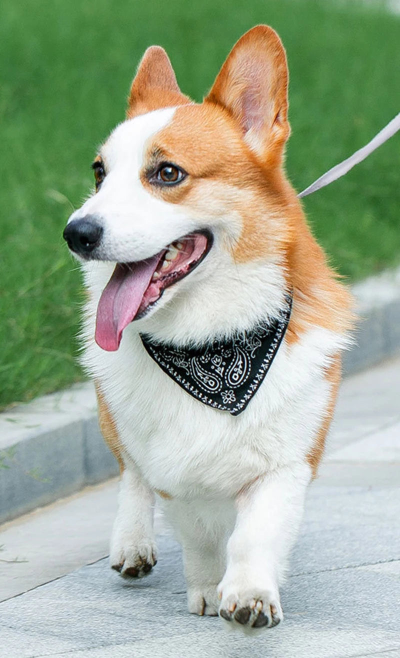 The Cotswold Bandana | Classic Heritage Scarf Collar