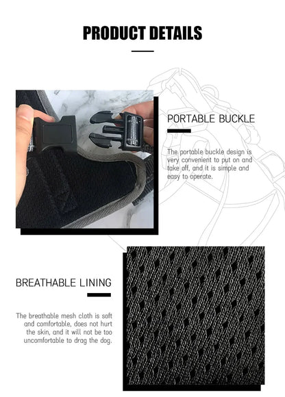The Street-Chic Collection | All-In-One 6-Piece Walking Pack