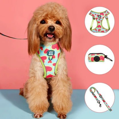 The Picnic Collection | Watermelon Harness, Lead & Pouch Set