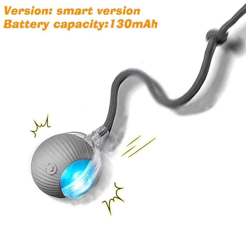 The Smart-Roll | Automatic Intelligent Play Ball