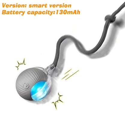 The Smart-Roll | Automatic Intelligent Play Ball