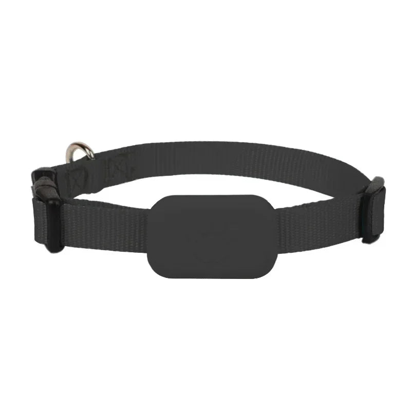 The Sentinel | Global Real-Time GPS Tracker
