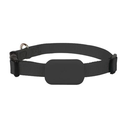The Sentinel | Global Real-Time GPS Tracker