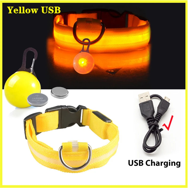 The Glow-Guard | Luxury LED USB Safety Collar