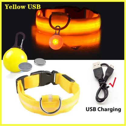 The Glow-Guard | Luxury LED USB Safety Collar