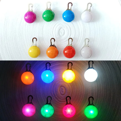 The Glow-Guard | Luxury LED USB Safety Collar