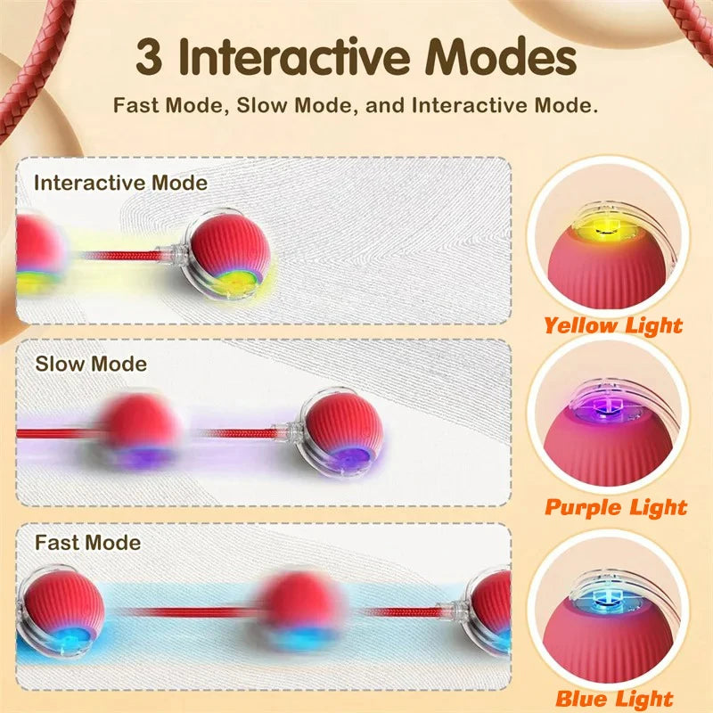 The Smart-Roll | Automatic Intelligent Play Ball