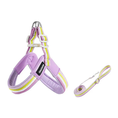 The Explorer | Y-Shape Harness & Detachable Trail Pack