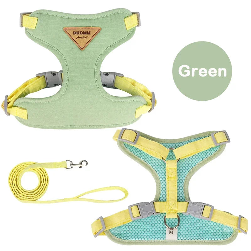 The English Garden | Soft-Fit Harness, Lead & Pouch