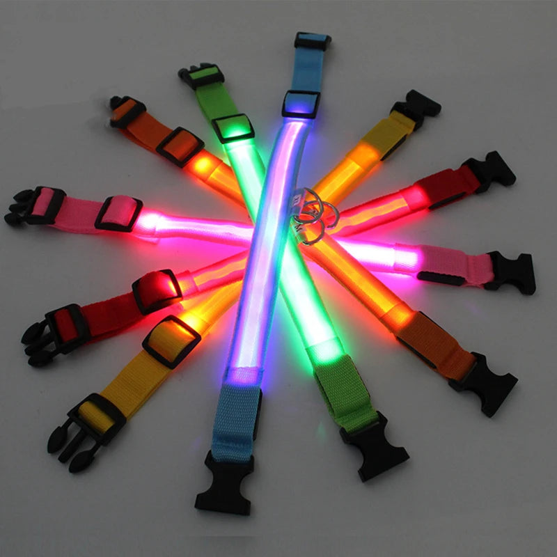 The Glow-Guard | Luxury LED USB Safety Collar