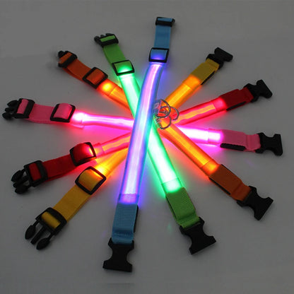 The Glow-Guard | Luxury LED USB Safety Collar