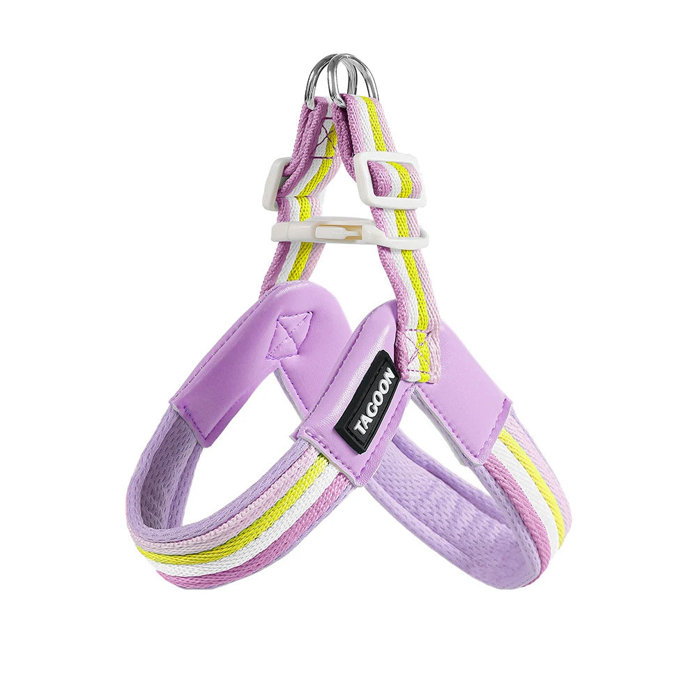 The Explorer | Y-Shape Harness & Detachable Trail Pack