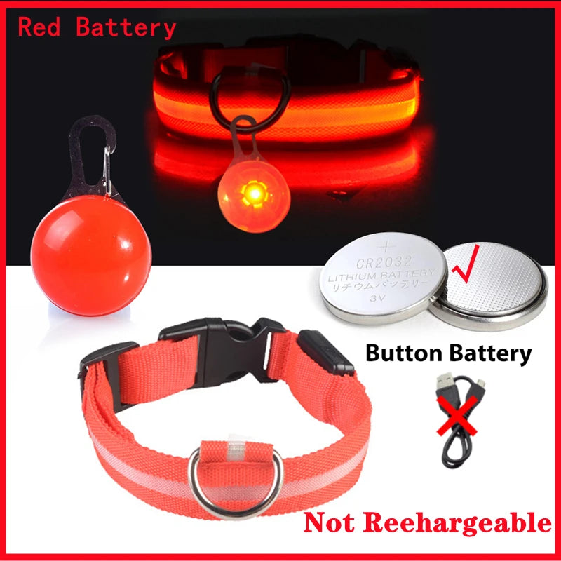 The Glow-Guard | Luxury LED USB Safety Collar