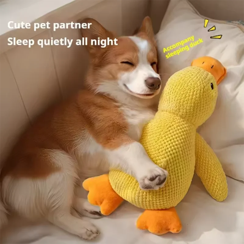 The Quack-Back | Durable Plush Duck Companion