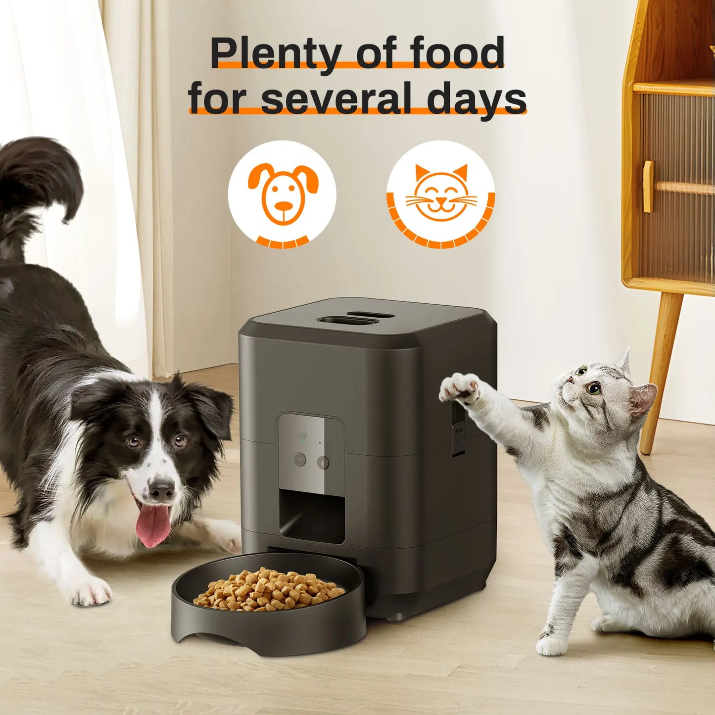 The Butler | Intelligent Automatic Feeding Station