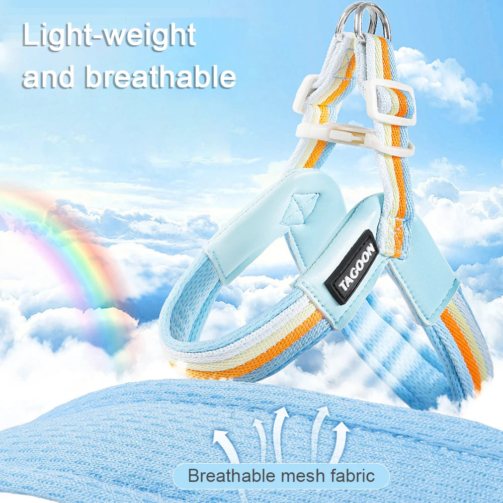 The Explorer | Y-Shape Harness & Detachable Trail Pack