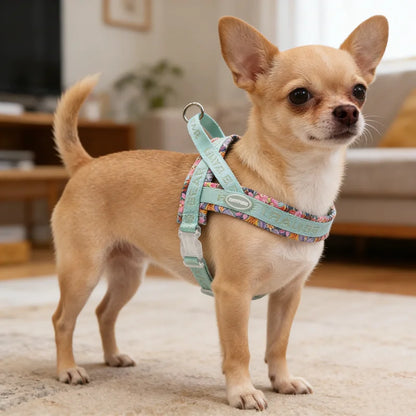 The Vanguard | No-Pull Ergonomic Saddle Harness