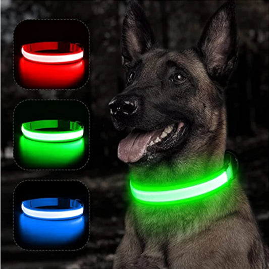 The Glow-Guard | Luxury LED USB Safety Collar